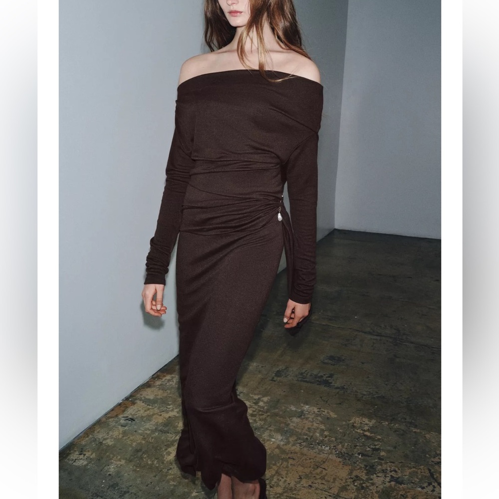 Zara Off-Shoulder Long Sleeve Brown Dress